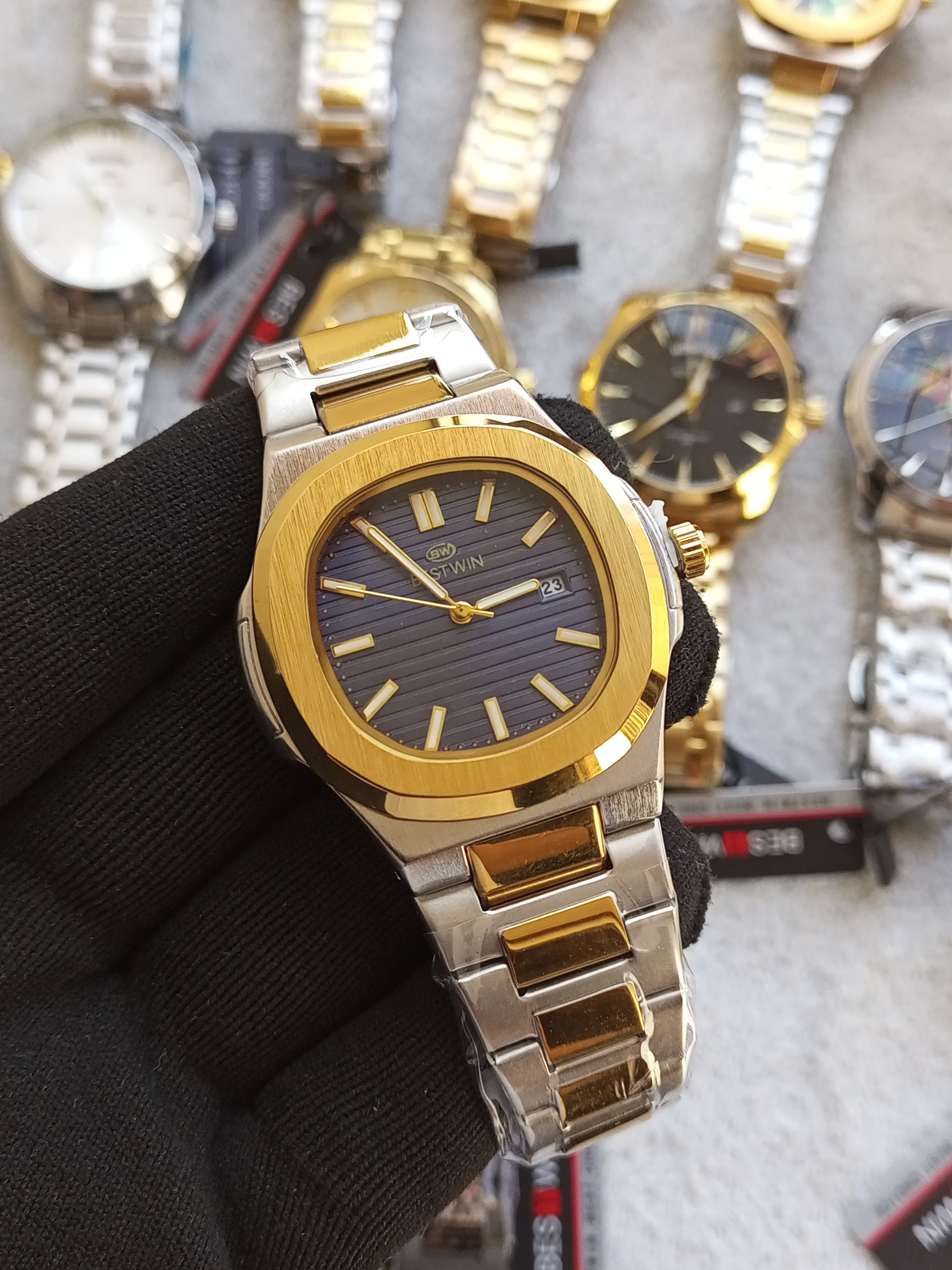 Bestwin-Nautilus-Model